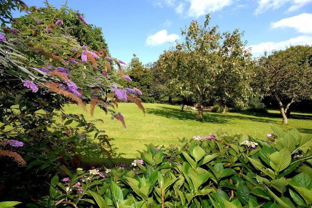 Marton Grange Country House بريدلينغتون المظهر الخارجي الصورة